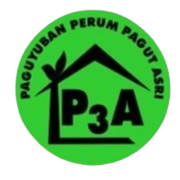 Logo P3A